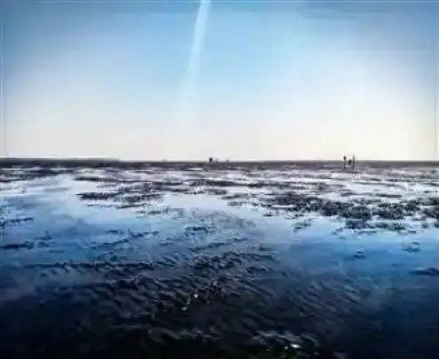 Daman and diu to kashmir travel deals