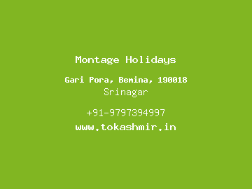 Montage Holidays, Srinagar