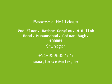 Peacock Holidays, Srinagar
