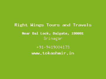 Right Wings Tours and Travels, Srinagar