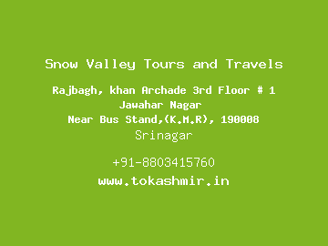 Snow Valley Tours and Travels, Srinagar