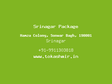 Srinagar Package, Srinagar