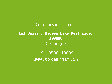 Srinagar Trips, Srinagar
