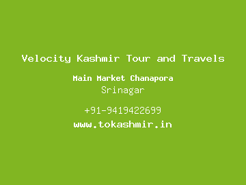Velocity Kashmir Tour and Travels, Srinagar